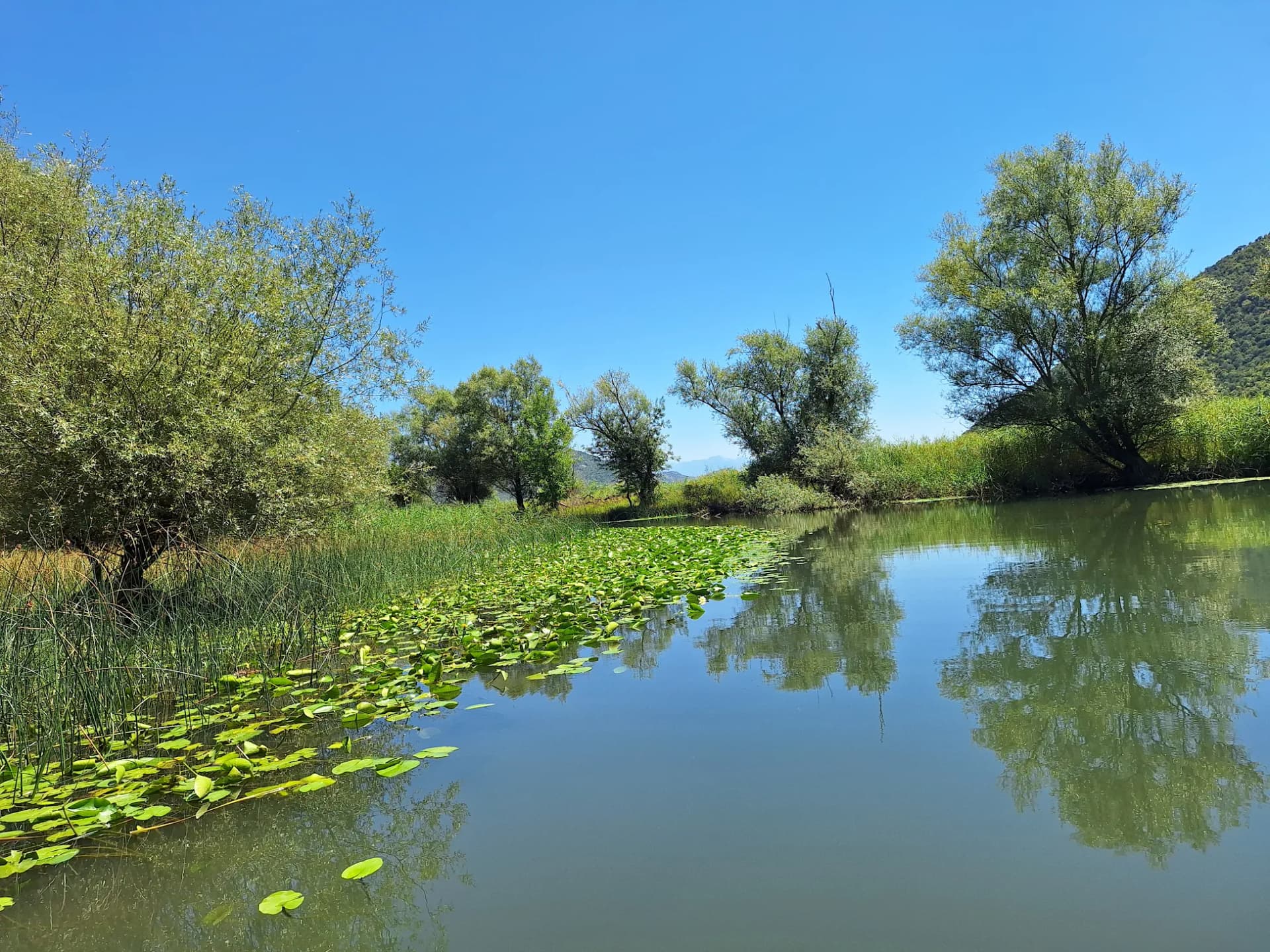 Beautiful Skadar Lake