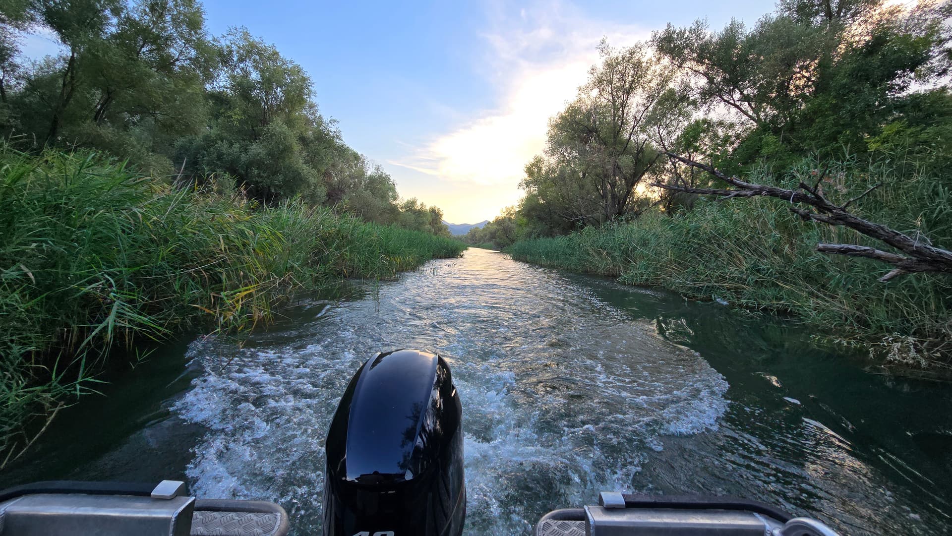 Sunset wake through Skadar Lake reed channels